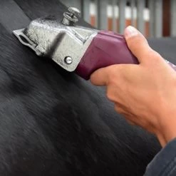 Aesculap 1 Akku »Econom CL Equipe GT 814« Schermaschine Pferd -Heimtierprodukte Geschäft aesculap econom cl equipe gt 814 1 akku schermaschine pferd8