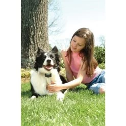 Anti Bell Halsband »Classic« PetSafe Elektrohalsband · Ab 3,6kg -Heimtierprodukte Geschäft anti bell halsband petsafe elektrohalsband ab 36kg3