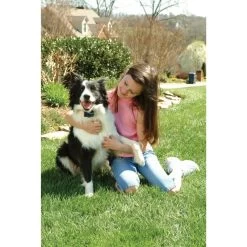 Anti Bell Halsband »Classic« PetSafe Elektrohalsband · Ab 3,6kg -Heimtierprodukte Geschäft anti bell halsband petsafe elektrohalsband ab 36kg4