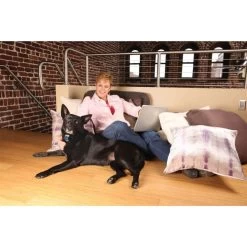 PetSafe Anti Bell Halsband »Zitronella« Bellkontrolle · Ab 2,5kg -Heimtierprodukte Geschäft anti bell halsband zitronella bellkontrolle ab 25kg3