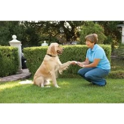 PetSafe Antibell Halsband »Big Dog« Antibellhalsband · Ab 18kg -Heimtierprodukte Geschäft antibell halsband big dog antibellhalsband ab 18kg5