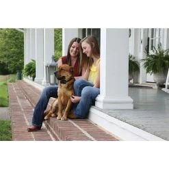 PetSafe Antibellhalsbänder »Deluxe« PS Erziehungshalsband · Akku, Ab 18kg -Heimtierprodukte Geschäft antibellhalsbaender deluxe ps erziehungshalsband akku ab 18kg3