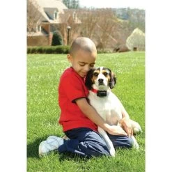 Antibellhalsband »Basic« PetSafe Stromhalsband · Ab 3,6kg -Heimtierprodukte Geschäft antibellhalsband basic petsafe stromhalsband ab 36kg3