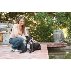 Antibellhalsband »Deluxe« PetSafe Erziehungshalsband · Ab 18kg -Heimtierprodukte Geschäft antibellhalsband deluxe petsafe erziehungshalsband ab 18kg3