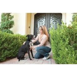 Antibellhalsband »Deluxe« PetSafe Erziehungshalsband · Ab 18kg -Heimtierprodukte Geschäft antibellhalsband deluxe petsafe erziehungshalsband ab 18kg4