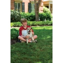 PetSafe Antibellhalsband »Small Dog« Antibellhalsband · Bis 26kg -Heimtierprodukte Geschäft antibellhalsband small dog antibellhalsband bis 26kg4