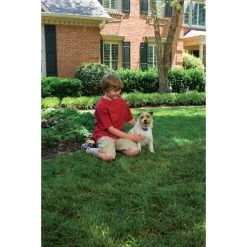 PetSafe Antibellhalsband »Small Dog« Antibellhalsband · Bis 26kg -Heimtierprodukte Geschäft antibellhalsband small dog antibellhalsband bis 26kg5