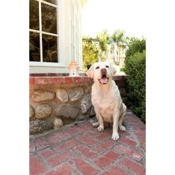 PetSafe Bell Stop Gerät »Deluxe« Hundegebell Stoppen, Außen · 15m -Heimtierprodukte Geschäft bell stop geraet deluxe hundegebell stoppen aussen 15m5