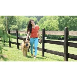 Fern Trainer »Basic« PetSafe Hundeerziehung · 70m, Ab 3,6kg -Heimtierprodukte Geschäft fern trainer basic petsafe hundeerziehung 70m ab 36kg3