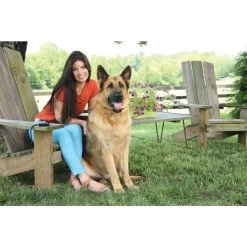 Fern Trainer »Basic« PetSafe Hundeerziehung · 70m, Ab 3,6kg -Heimtierprodukte Geschäft fern trainer basic petsafe hundeerziehung 70m ab 36kg4