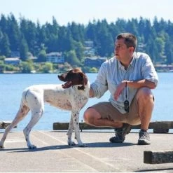 Ferntrainer »Basic« PetSafe Hundeerziehung · 100m, Ab 18kg -Heimtierprodukte Geschäft ferntrainer basic petsafe hundeerziehung 100m ab 36kg4