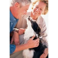 Ferntrainer »Basic« PetSafe Ultraschall Hundeerziehung · 9m -Heimtierprodukte Geschäft ferntrainer basic petsafe ultraschall hundeerziehung 9m4