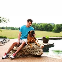 Ferntrainer »Deluxe Spray« PetSafe Spray Halsband · 275m -Heimtierprodukte Geschäft ferntrainer deluxe spray petsafe spray halsband 275m5