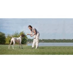 Ferntrainer »Deluxe« Zusatz Erziehungshalsbänder PetSafe · 900m -Heimtierprodukte Geschäft ferntrainer deluxe zusatz erziehungshalsbaender petsafe 900m3