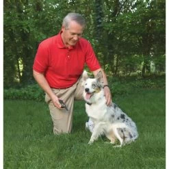 PetSafe Ferntrainer »Classic« PS Erziehungshalsbänder · 250m, Ab 3,6kg -Heimtierprodukte Geschäft ferntrainer ps erziehungshalsbaender 250m ab 36kg4