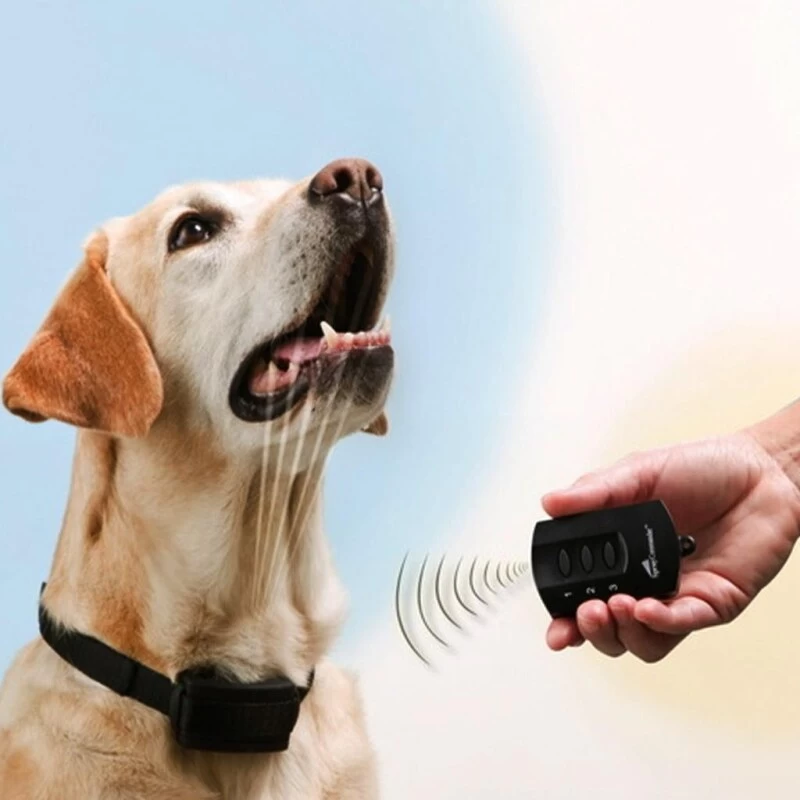 Ferntrainer »Spray Commander« PetSafe Sprayhalsband · 85m 6 Ferntrainer »Spray Commander« PetSafe Sprayhalsband · 85m - Image 4