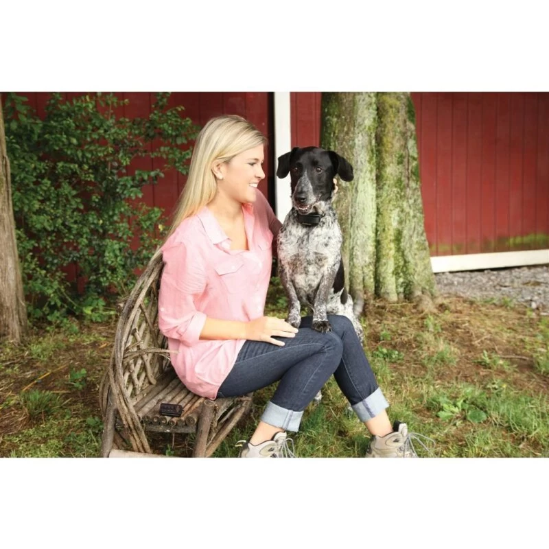 Ferntrainer »Spray Commander« PetSafe Sprayhalsband · 85m 7 Ferntrainer »Spray Commander« PetSafe Sprayhalsband · 85m - Image 5