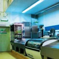 Fliegenfalle »Flytrap FT 40« Insektenfalle Für Hygienestandard 11 Fliegenfalle »Flytrap FT 40« Insektenfalle Für Hygienestandard -Heimtierprodukte Geschäft fliegenfalle flytrap ft 40 insektenfalle fuer hygienestandard5