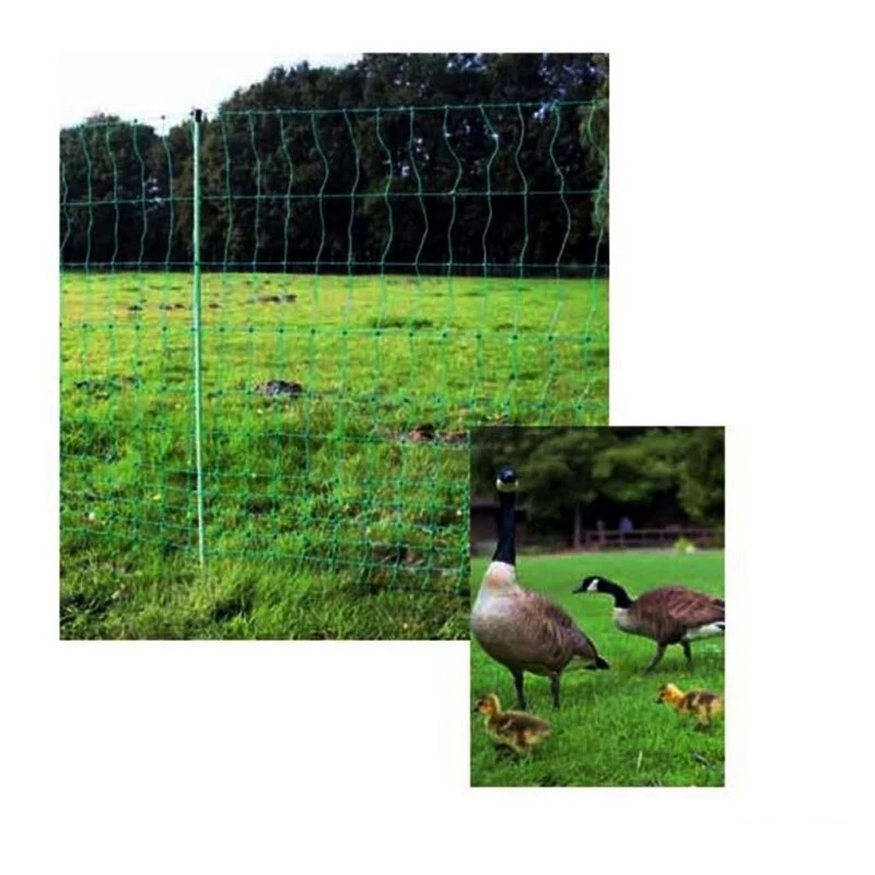 Geflügelzaun »Euronetz« KEIN Elektrozaun · 50m 2 Spitzen, 112cm 8 Geflügelzaun »Euronetz« KEIN Elektrozaun · 50m 2 Spitzen, 112cm - Image 6