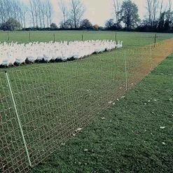 Geflügelzaun »Euronetz« Laufenten Zaun · 25m 2 Spitzen, 112cm -Heimtierprodukte Geschäft gefluegelzaun euronetz laufenten zaun 25m 2 spitze 112cm7