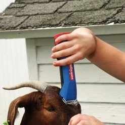 Heiniger »Saphir« 2 Akku Schermaschine Kleintierschermaschine -Heimtierprodukte Geschäft heiniger saphir 2 akku kleintierschermaschine7