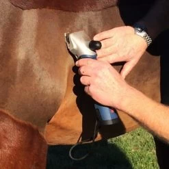 Heiniger »XPLORER« 2 Akku Rinder Schermaschine -Heimtierprodukte Geschäft heiniger xplorer 2 akku schermaschine7