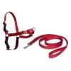 PetSafe Hunde Geschirr »Easy Walk« Inkl. Hundeleine · 86-117cm, Rot -Heimtierprodukte Geschäft hunde geschirr easy walk inkl hundeleine 86 117cm