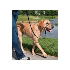 Heimtierprodukte Geschäft -Heimtierprodukte Geschäft hundeleine easy walk fuer labrador retriever 27 59kg2