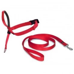 PetSafe Hundeleine »Easy Walk« Für Schäferhund, Labrador · 27-59kg, Rot