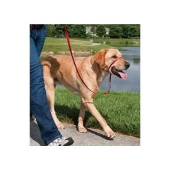 Heimtierprodukte Geschäft -Heimtierprodukte Geschäft hundeleine easy walk fuer schaeferhund labrador 27 59kg2