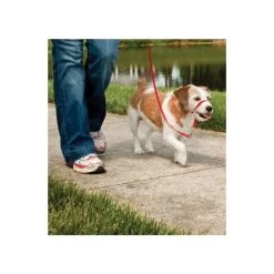 Heimtierprodukte Geschäft -Heimtierprodukte Geschäft hundeleine easy walk fuer sheltie beagle max 11kg2
