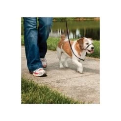 Heimtierprodukte Geschäft -Heimtierprodukte Geschäft hundeleinen easy walk fuer beagle sheltie max 11kg2