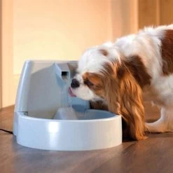 Katzenbrunnen »DrinkWell« Trinkbrunnen · 1,5l -Heimtierprodukte Geschäft katzenbrunnen drinkwell trinkbrunnen 15l4