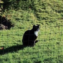 Katzengehege Katzennetz »Euronetz« 25m 1 Spitze, 75cm -Heimtierprodukte Geschäft katzengehege katzennetz euronetz 25m 1 spitze 75cm6