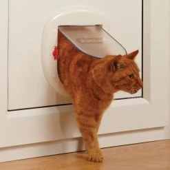 PetSafe Katzenklappe »Staywell« Haustiertür · Ø263mm, Weiß -Heimtierprodukte Geschäft katzenklappe staywell haustiertuer durchmesser 263mm4