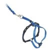 PetSafe Katzenleine »Easy Walk« Katzengeschirr · 23-28cm, Blau