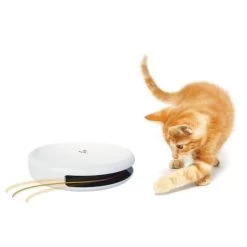 PetSafe Katzenspielzeuge »Frolicat FLIK« Schnurspielzeug