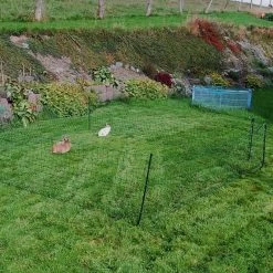 Kleintiergehege »Premium« Kleintiernetz · 12m 1 Spitze, 65cm -Heimtierprodukte Geschäft kleintiergehege premium kleintiernetz 12m 1 spitze 65cm6