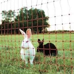 Kleintierzaun »Euronetz« Wildschutz · 25m 2 Spitzen, 65cm -Heimtierprodukte Geschäft kleintierzaun euronetz wildschutz 25m doppelspitze 65cm7