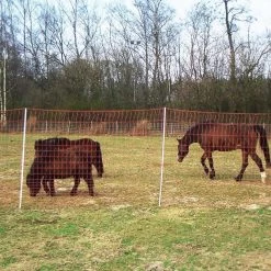 Pferdenetz »Euronetz« Weidenetz · 50m 2 Spitzen, 145cm -Heimtierprodukte Geschäft pferdenetz euronetz weidenetz 50m 2 spitzen 145cm4