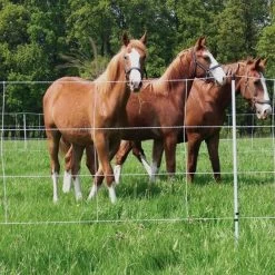 Pferdenetz »Euronetz« Weidenetze · 30m 2 Spitzen, 120cm -Heimtierprodukte Geschäft pferdenetz euronetz weidenetze 30m 2 spitzen 120cm4