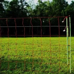 Plus-Minus Wolfsnetz »Euronetz« Elektrozaun · 50m 2 Spitzen, 90cm -Heimtierprodukte Geschäft plus minus euronetz wolfsnetz elektrozaun 50m 2 spitzen 90cm7