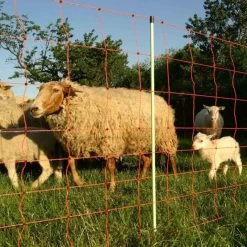 Schafzaun »Euronetz« Elektrozaun · 25m 2 Spitzen, 90cm -Heimtierprodukte Geschäft schafzaun euronetz elektrozaun 25m 2 spitzen 90cm7