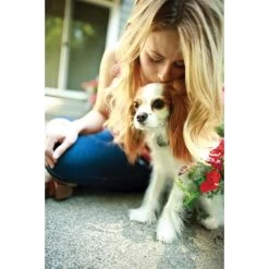 PetSafe Unsichtbarer Hundezaun »Deluxe« Erweiterbar Auf 10ha · Ab 3,6kg -Heimtierprodukte Geschäft unsichtbarer hundezaun deluxe erweiterbar auf 10ha ab 36kg3