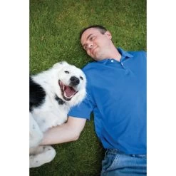 PetSafe Unsichtbarer Hundezaun 27,5m Radius »Drahtlos Comfort« · Ab 3,6kg -Heimtierprodukte Geschäft unsichtbarer hundezaun drahtlos comfort 275m radius ab 36kg5