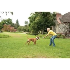 PetSafe Unsichtbarer Hundezaun »Drahtlos Deluxe« 32m Radius · Ab 2,3kg -Heimtierprodukte Geschäft unsichtbarer hundezaun drahtlos deluxe 32m radius ab 23kg8