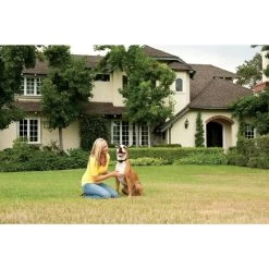 PetSafe Unsichtbarer Hundezaun »Drahtlos« Zusatz Halsband · Akku, 5-stufig -Heimtierprodukte Geschäft unsichtbarer hundezaun drahtlos zusatz halsband akku4