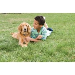 PetSafe Unsichtbarer Hundezaun »Classic« Erweiterbar Auf 4ha · Bis 18kg -Heimtierprodukte Geschäft unsichtbarer hundezaun erweiterbar auf 4ha bis 18kg3
