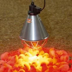 Stalllampe »Classic« Für Infrarotbirne, Infrarotstrahler · 2,5m -5m -Heimtierprodukte Geschäft waermelampe stalllampe infrarotbirne infrarotstrahler 25m 5m3