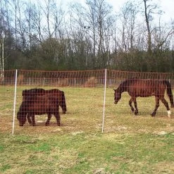 Pferdenetz »Euronetz« Weidenetz · 25m 2 Spitzen, 170cm -Heimtierprodukte Geschäft weidenetze euronetz pferdenetz 25m 2 spitzen 170cm4
